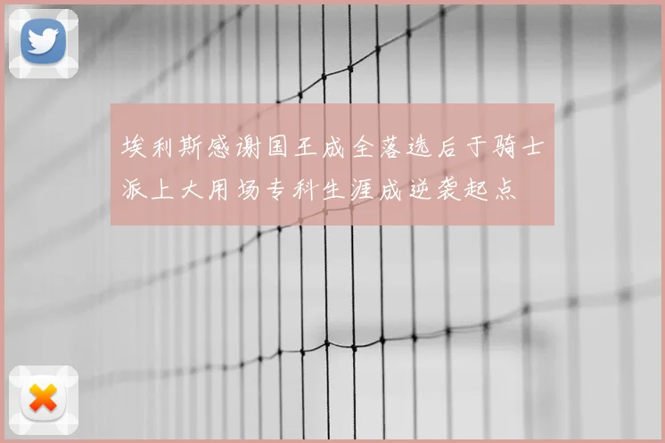 埃利斯感谢国王成全落选后于骑士派上大用场专科生涯成逆袭起点