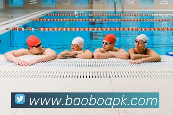 宝博体育平台生态图