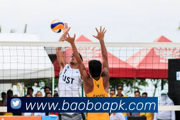 宝博体育APP 封面图