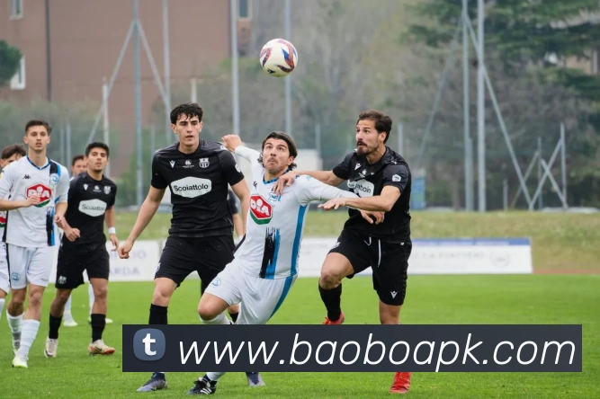 宝博体育全站App 宝博体育全站App